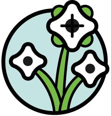 Icon Icons-04